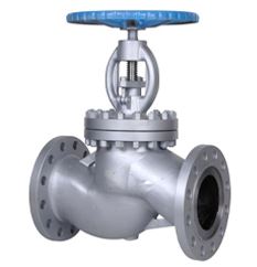 Globe Valves Manufacturer & Supplier in India